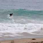 IMG_0831-copie-1024x683